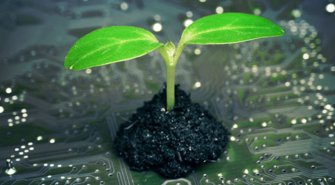 Digitalization and Sustainability